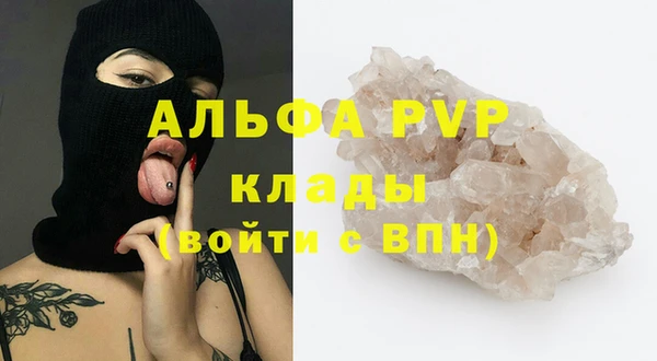 стафф Алексин