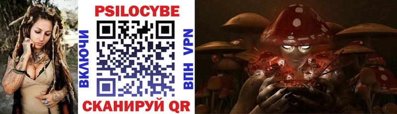 Псилоцибиновые грибы Psilocybe  Котельнич 